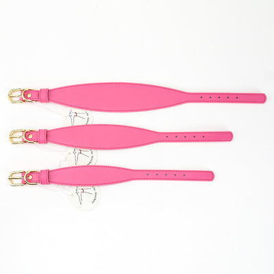 Set de Correas Suaves para Pasear Mascotas - Control Seguro y Cómodo - Image 12