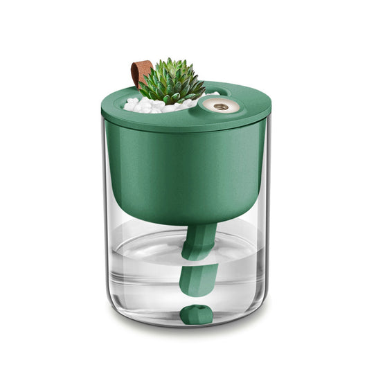 Creative small ecological humidifier with a succulent plant and white stones on top, featuring a clear water tank. - Image 12
