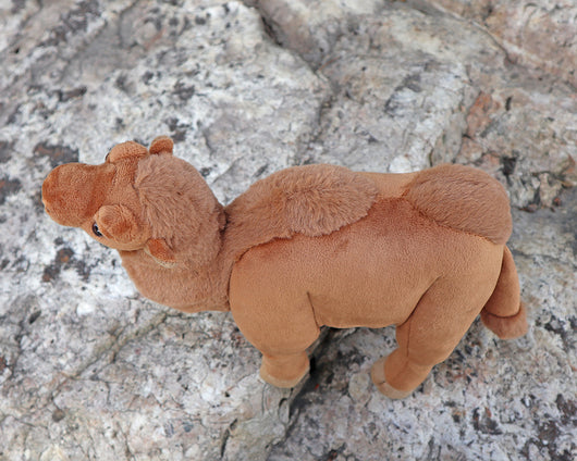 Peluche Camello del Desierto de Dunhuang - Juguete Realista - Image 12