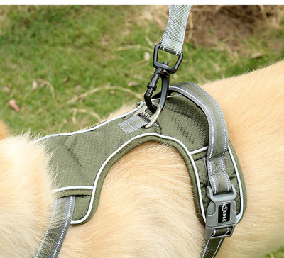 Correa Retráctil Antiexplosión para Perros con Luz Fluorescente - Image 10