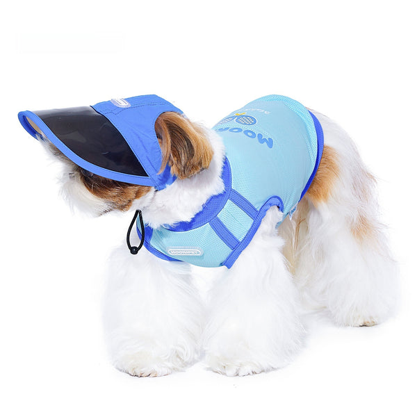 Gorro de Otoño para Perros Pequeños York