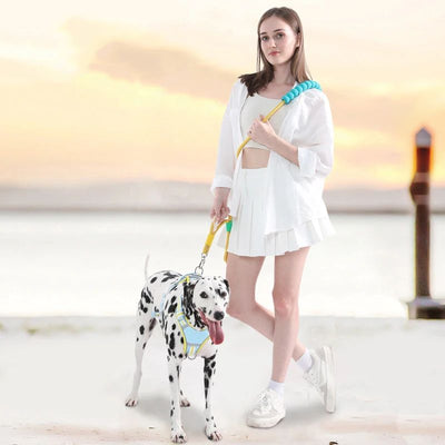 Correa de Tracción para Perros con Mango Acolchado Antideslizante - Image 3