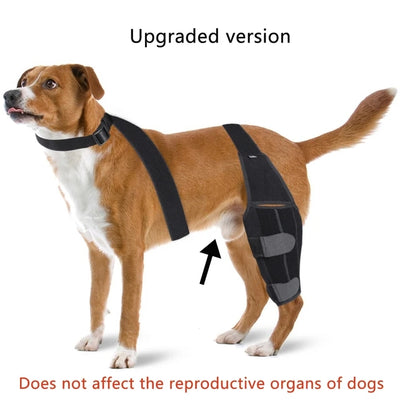 Rodillera Protectora para Perros - Soporte Ortopédico Post-Quirúrgico - Image 6