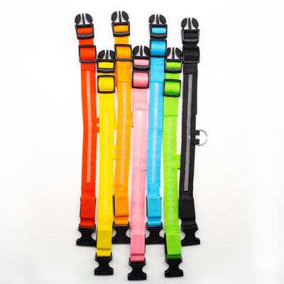 Collar LED Recargable para Mascotas - Image 12