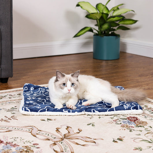 Manta Térmica Infantil con Diseño de Dibujos Animados - Image 10