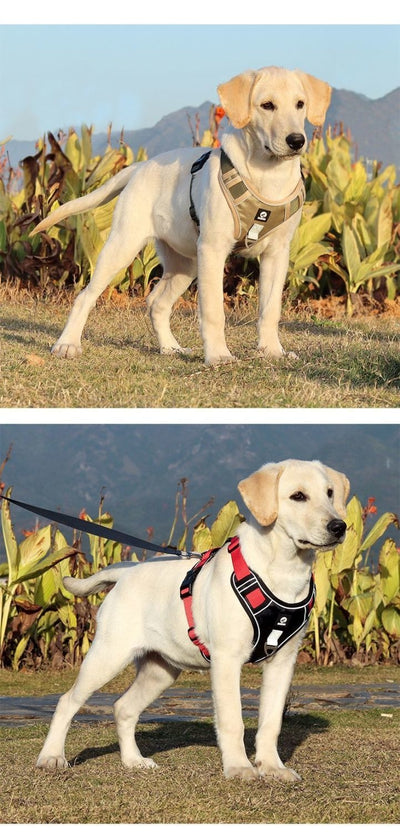 Chaleco Protector a Prueba de Explosiones para Perros Medianos y Grandes - Image 13