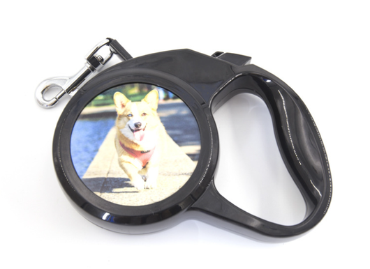 Correa Retráctil Automática con Transferencia Térmica para Perros - Image 4