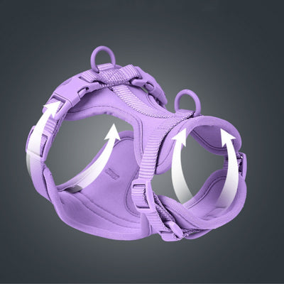 Juego de Correas Universales con Cuerda de Sujeción para Móvil y Accesorios