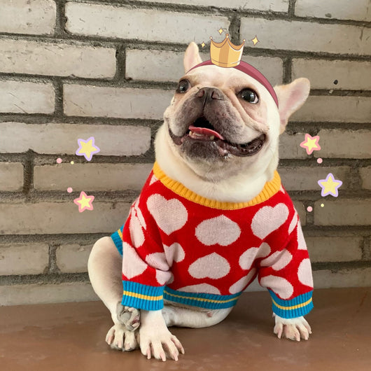 Suéter Tejido para Perros y Gatos - Diseño Rojo Otoño Invierno - Image 5