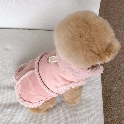 Chaleco Térmico para Mascotas - Abrigo Otoño e Invierno - Image 5