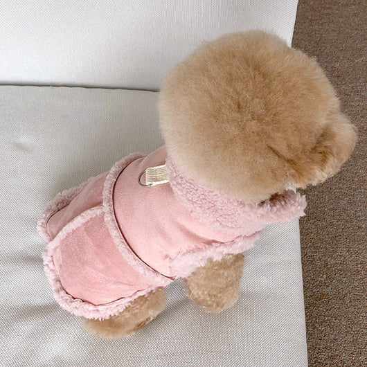 Chaleco Térmico para Mascotas - Abrigo Otoño e Invierno - Image 5