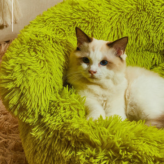 Cama Térmica de Invierno para Mascotas Medianas y Pequeñas - Image 5