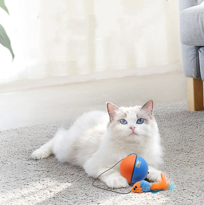 Juguete Interactivo Automático para Gatos - Pelota Inteligente Limpiadora - Image 11