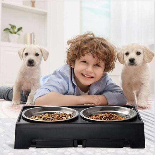 Comedero Elevado para Perros Medianos y Grandes con Protección Cervical Anti-volcado - Image 11