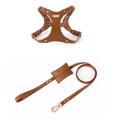 Correa Portátil de Cuero Suave para Perros Pequeños - Image 13