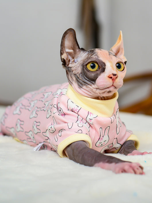 Camiseta de Algodón Antidesgarres para Gatos - Image 2