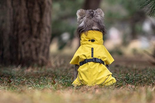 Poncho Impermeable Universal para Perros Pequeños y Medianos - Image 23