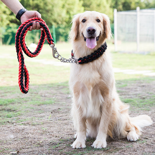 Collares y Correas para Perros de Nylon Reforzado - Entrenamiento y Paseos