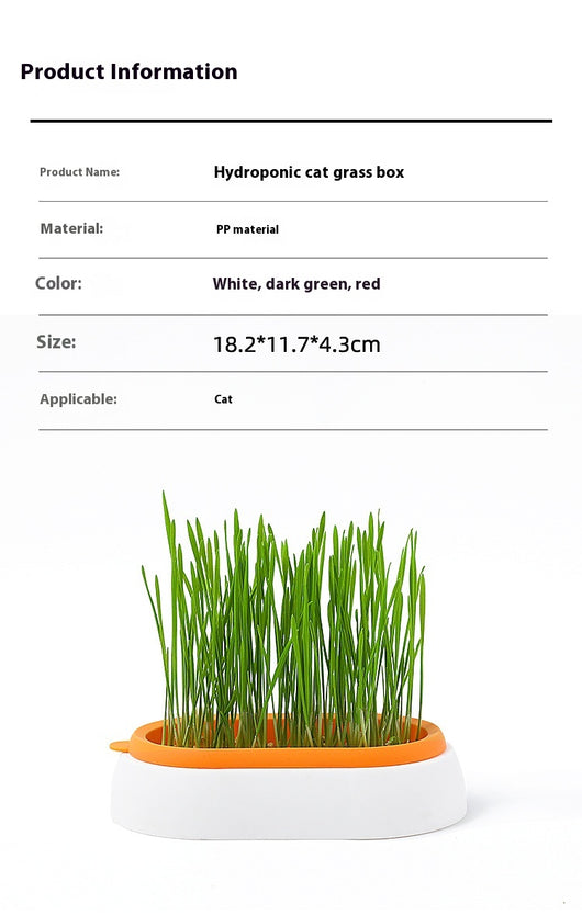 Maceta Hidropónica sin Tierra para Cultivo de Pasto de Gato - Image 9