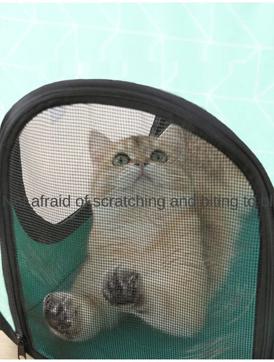 Secadora de Baño para Mascotas - Bolsa Secadora Automática para Gatos - Image 6
