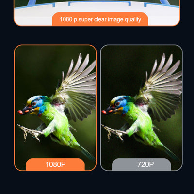 Comedero Automático para Mascotas con Cámara Solar - Image 3