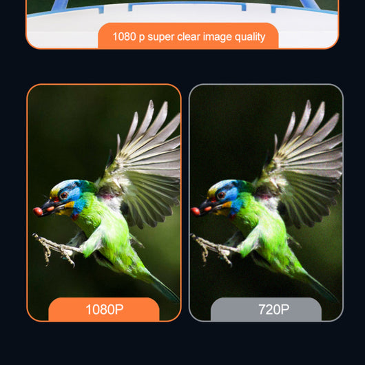 Comedero Automático para Mascotas con Cámara Solar - Image 3