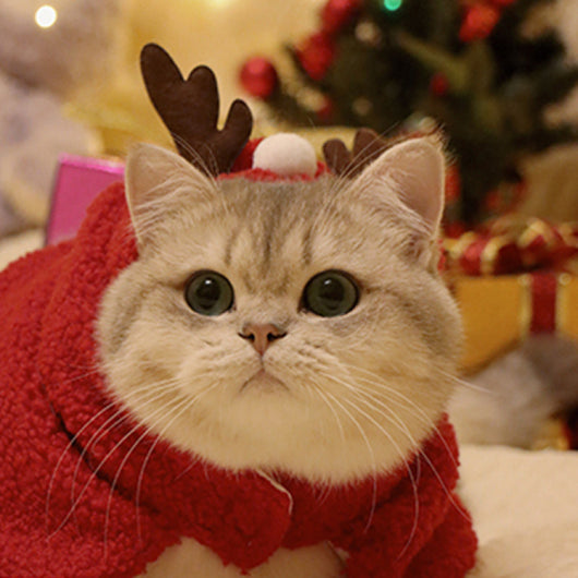 Capa y Gorro Navideño con Astas para Mascotas - Abrigo Cálido Otoño e Invierno - Image 3