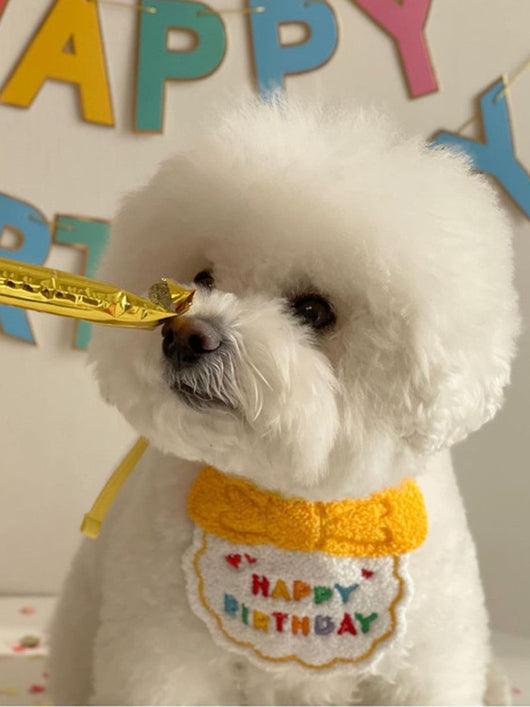 Sombrero Babero Elegante para Perros - Accesorios de Moda Canina - Image 3