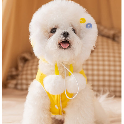 Ropa Térmica para Gatos y Perros Pequeños - Diseños Otoño Invierno con Transformación de Pato - Image 35