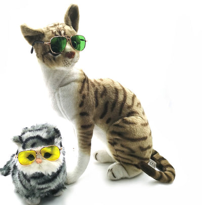 Gafas de Sol Hip Hop para Mascotas - Image 4
