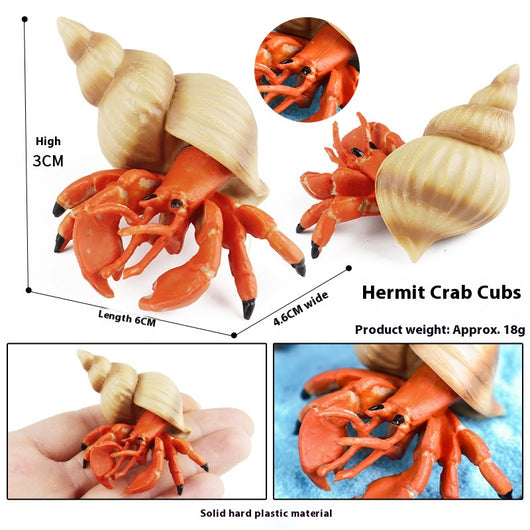 Juego Educativo de Animales Marinos Realistas para Niños - Image 64