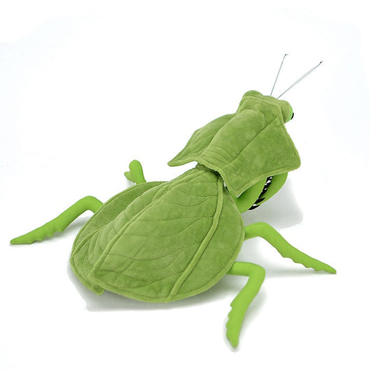 Peluche Mantis de Hoja - Colección Insectos - Image 10