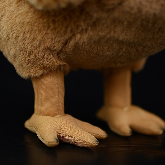 Peluche Educativo Dodo - Colección Biología Prehistórica - Image 11