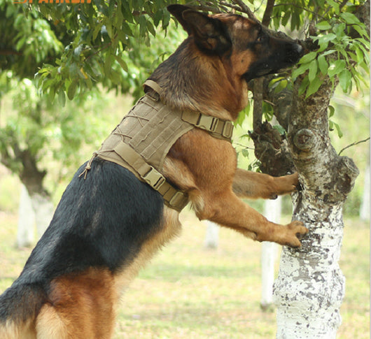 Chaleco Táctico para Perros Medianos y Grandes - Image 16