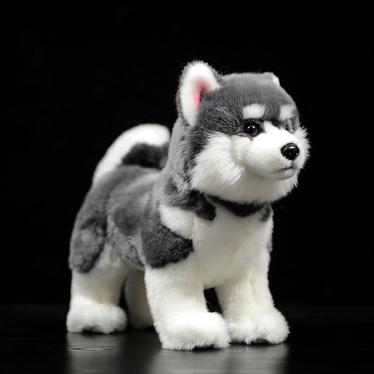 Peluche Perro Husky Siberiano Gris - Muñeco Realista de Simulación - Image 12