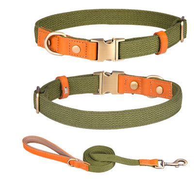 Collar de Cuero para Perros Anti-pérdida con Placa de Identificación - Image 14