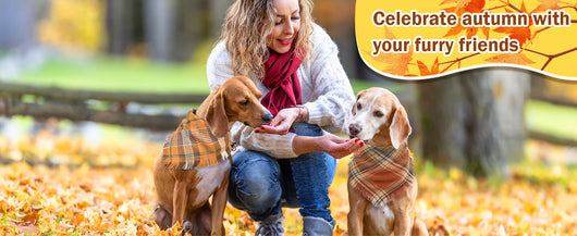 Pañuelo Clásico a Cuadros para Perro con Borlas - Accesorio Elegante para Otoño - Image 20