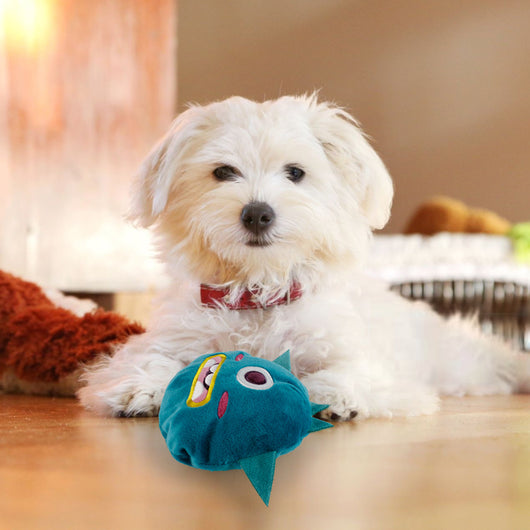 Pelota Interactiva Vibratoria para Perros - Resistente a Mordidas y Arañazos