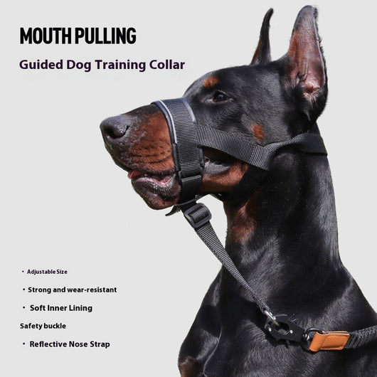 Black and brown leather and nylon dog muzzle with adjustable straps and a D-ring, shown with a size chart.