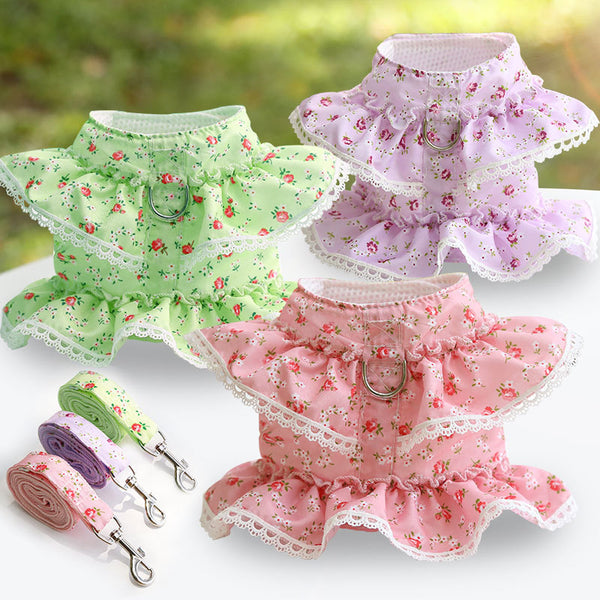 Arnés Pectoral con Correa para Perro Pequeño - Encaje Floral Primavera
