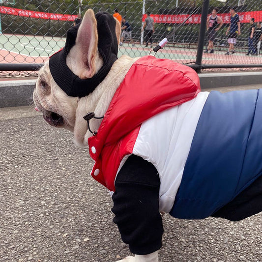 Chaleco de Algodón para Perros con Costuras Tricolores - Ropa Cómoda para Mascotas - Image 2