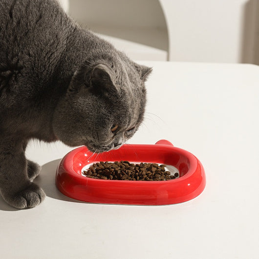 Comedero Cerámico para Gatos y Perros - Tazón Elegante para Alimento y Agua - Image 9