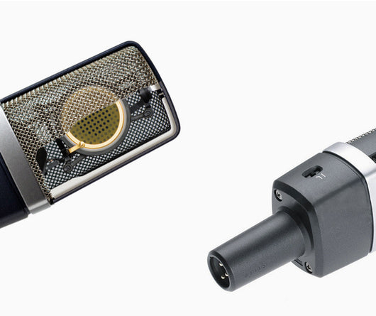 Micrófono Condensador Profesional de Diafragma Grande para Karaoke y Grabación - Image 3