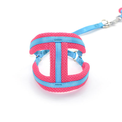 Arnés de Pecho para Perro con Cuerda y Clip Nylon - Image 9