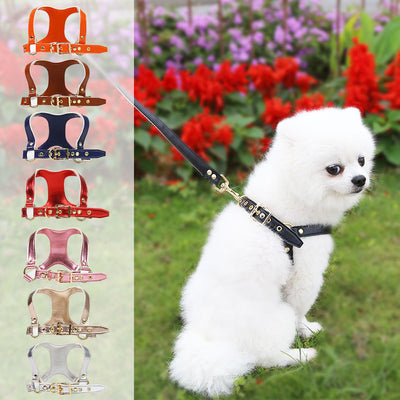 Arnés de Pecho para Perros y Gatos con Correa Ajustable - Image 3