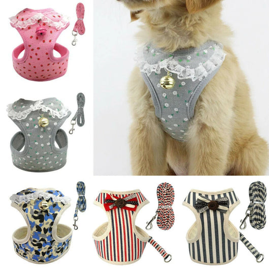 Chaleco Transpirable para Perros - Diseño Cómodo y Elegante - Image 17