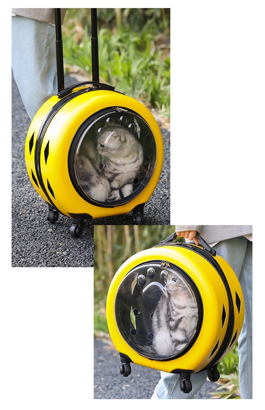 Bolsa Transportadora Transparente Reforzada para Mascotas - Gatos y Perros - Image 29