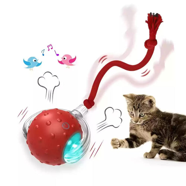 Red interactive cat toy ball with clear shell and glowing blue light, attached to a red rope, next to a playful tabby kitten. - Image 3