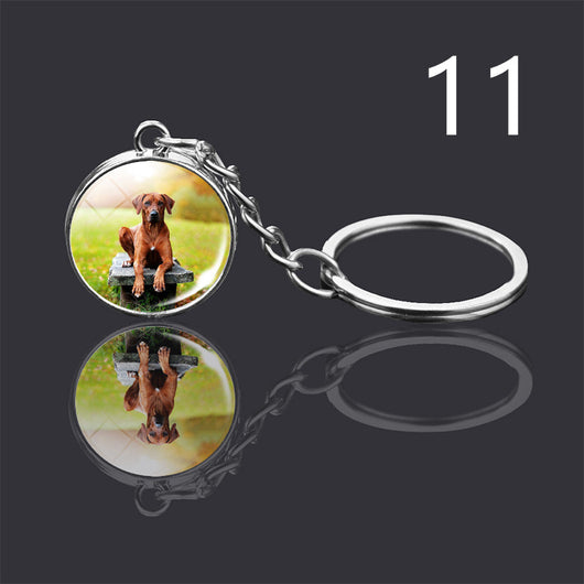 Llavero Colgante de Cristal Doble Cara Luminoso para Mascotas - Image 46