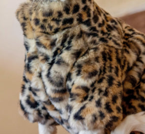 Ropa Térmica para Gatos sin Pelo - Abrigo Corto de Felpa Leopardo - Image 5